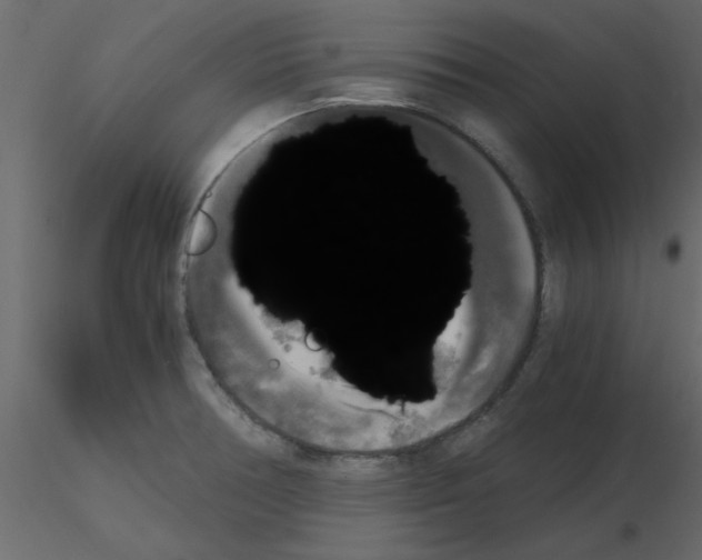 X0000115661378200912241350