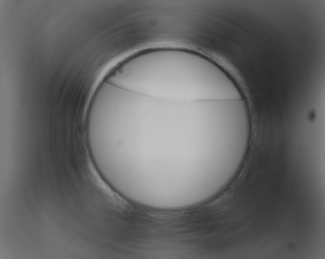 X0000115661380200912241350