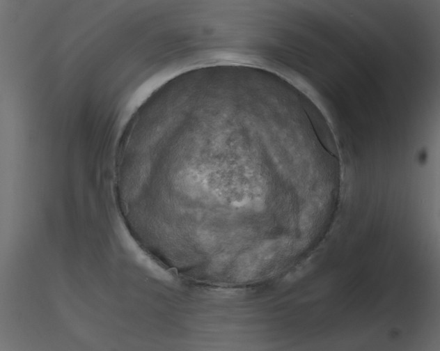 X0000115661381200912241350