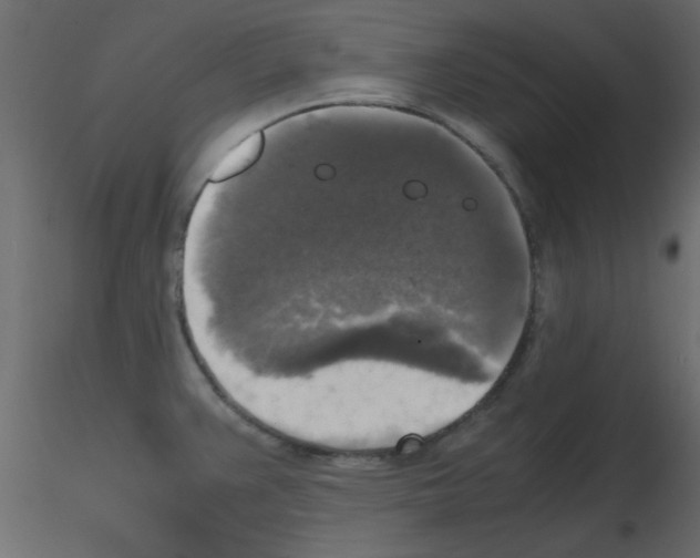 X0000115661383200912241350