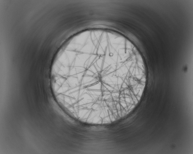 X0000115661384200912241350