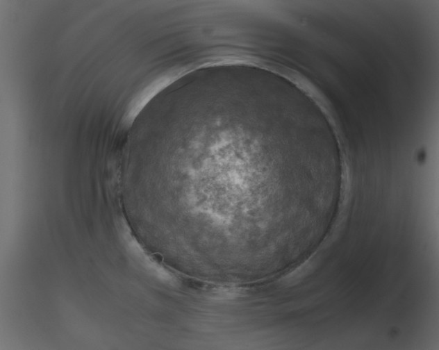 X0000115661385200912241350