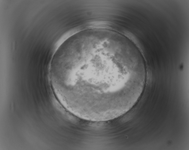 X0000115661386200912241350