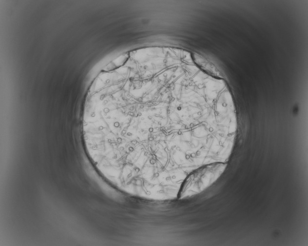 X0000115661387200912241350