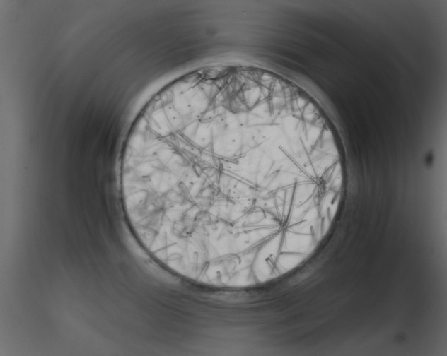 X0000115661388200912241350