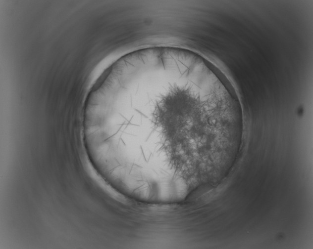 X0000115661389200912241349