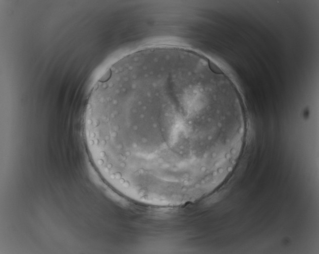 X0000115661390200912241349