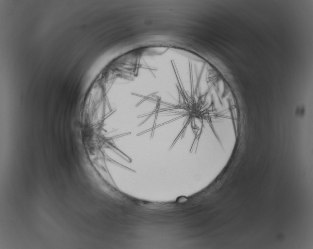 X0000115661392200912241349