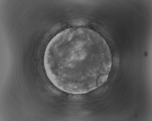 X0000115661393200912241349