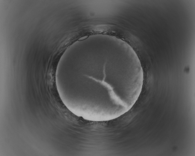 X0000115661394200912241349