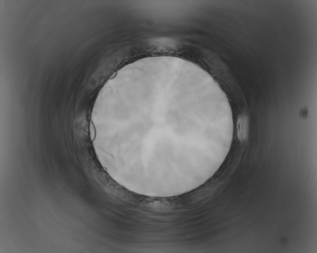 X0000115661395200912241349