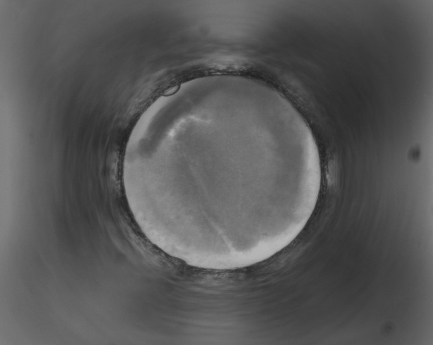 X0000115661396200912241349