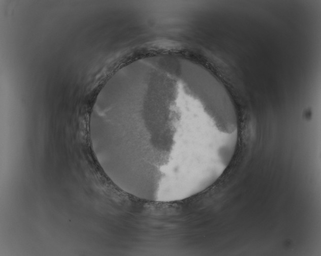 X0000115661397200912241349