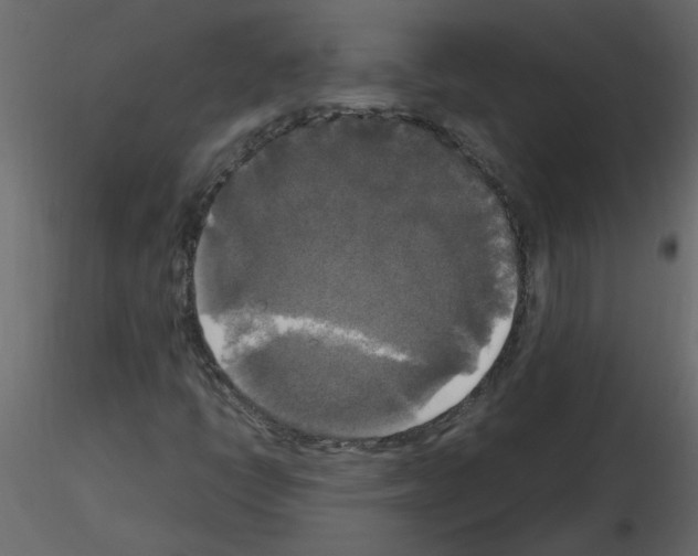 X0000115661398200912241349