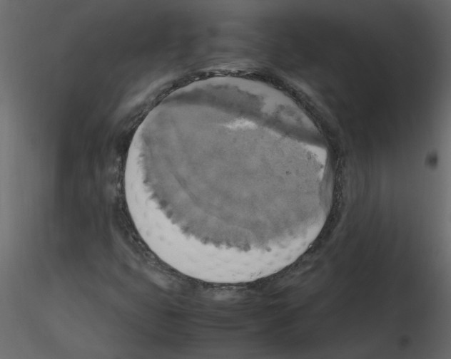 X0000115661399200912241349