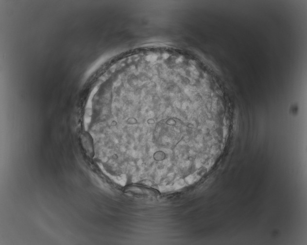 X0000115661400200912241349