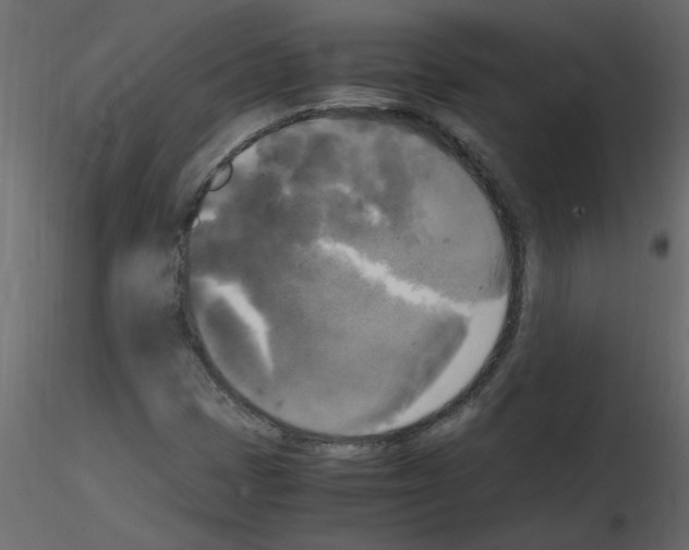 X0000115661401200912241349