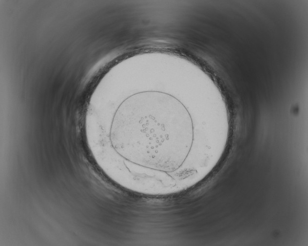 X0000115661402200912241349