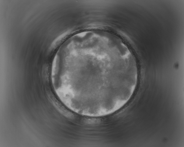 X0000115661403200912241349