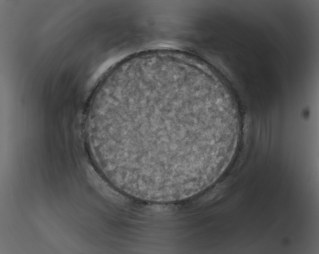 X0000115661404200912241349