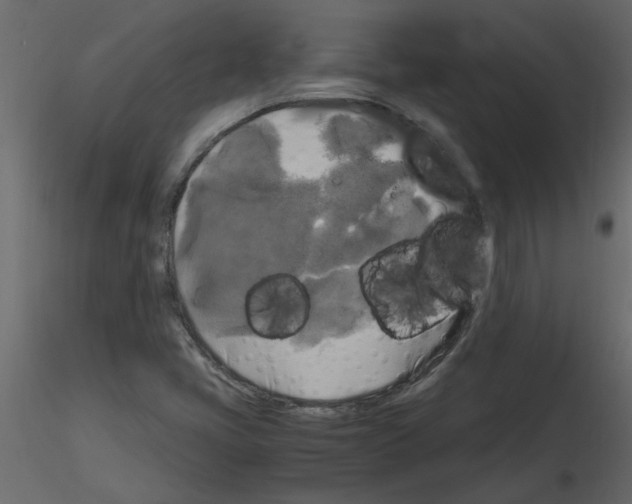 X0000115661405200912241349