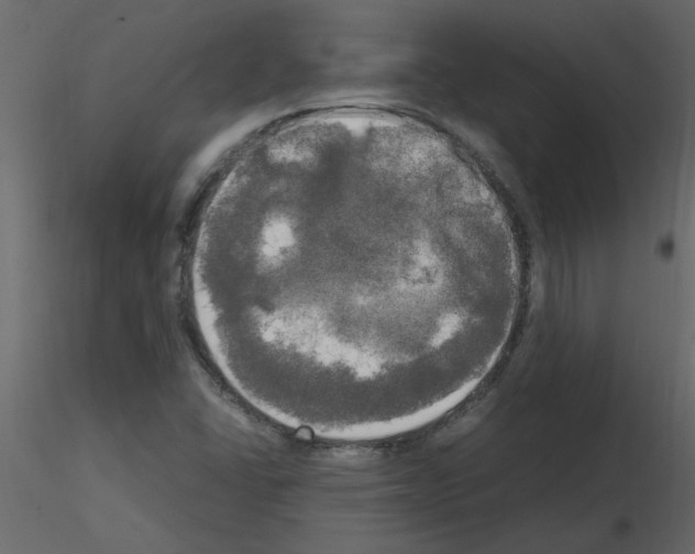 X0000115661406200912241349