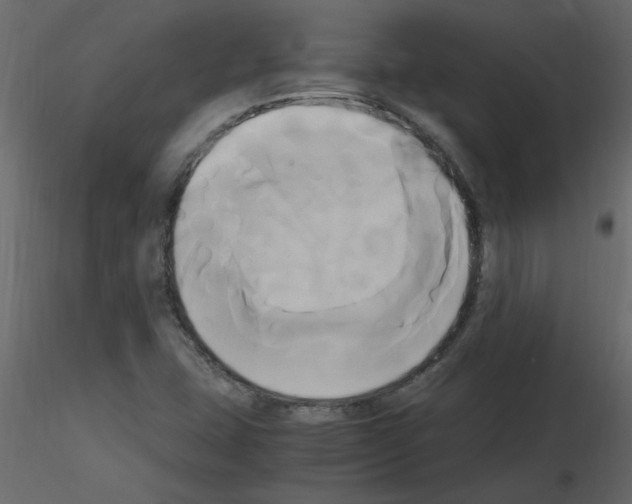 X0000115661407200912241349