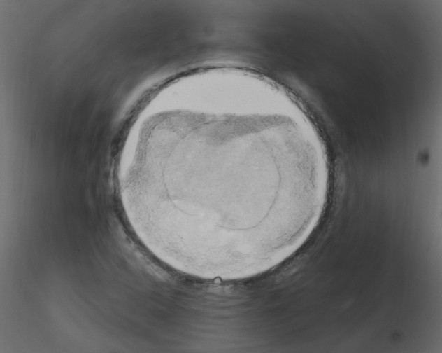 X0000115661408200912241349