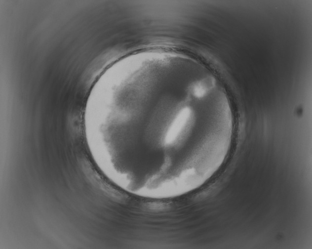 X0000115661409200912241349