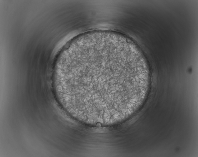 X0000115661410200912241349