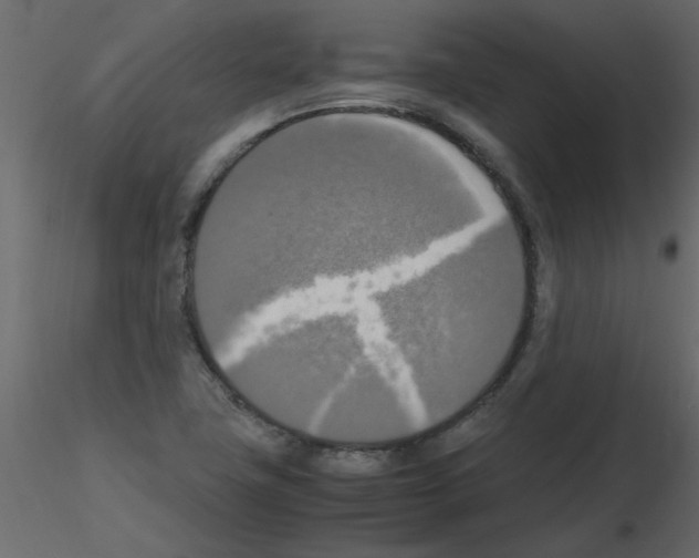 X0000115661411200912241349