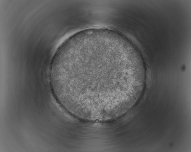 X0000115661412200912241349