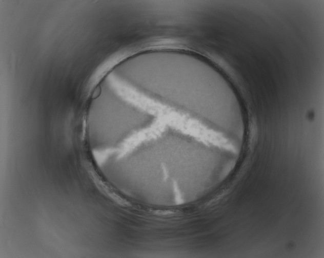 X0000115661413200912241349