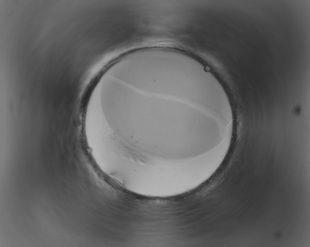 X0000115661414200912241349