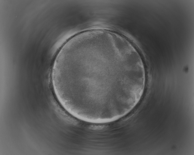 X0000115661415200912241349