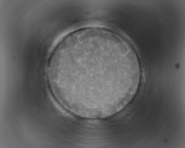 X0000115661416200912241349