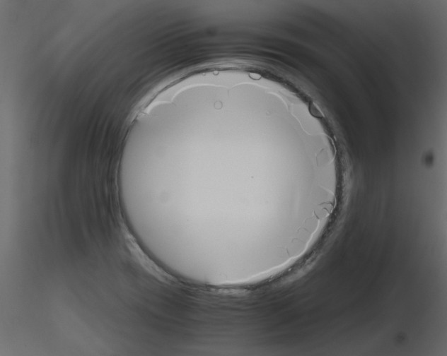 X0000115661417200912241349