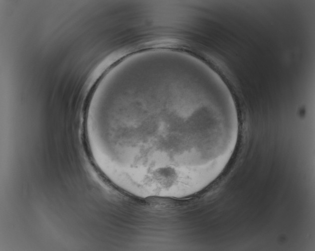 X0000115661418200912241349