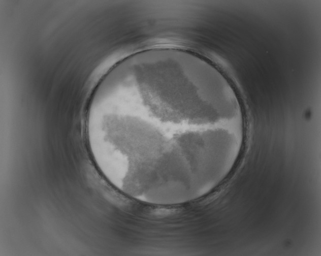 X0000115661419200912241349