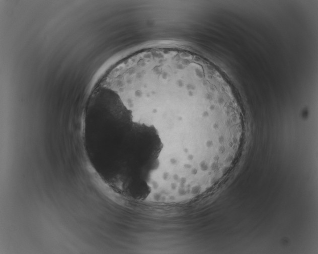 X0000115661420200912241349