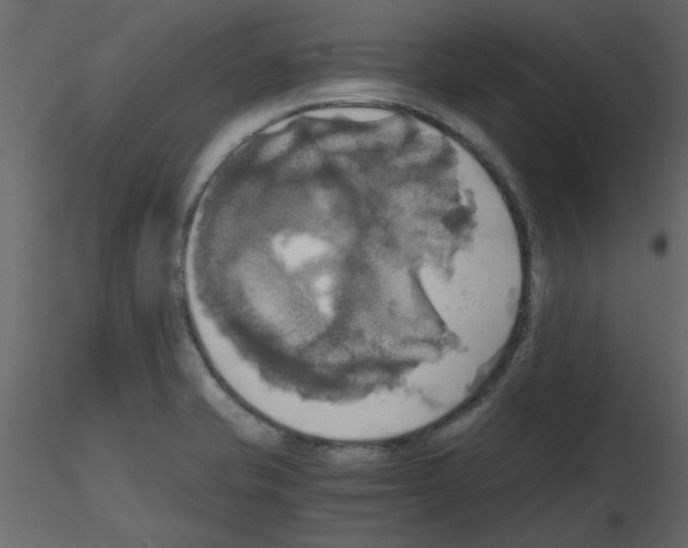 X0000115661421200912241349