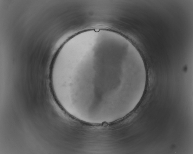 X0000115661422200912241349