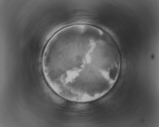 X0000115661423200912241349