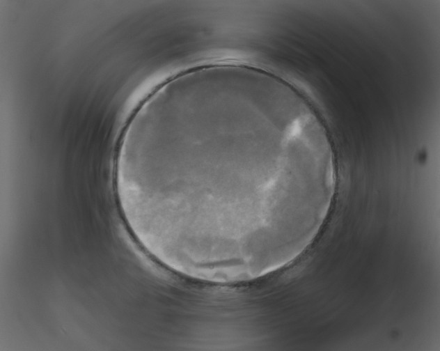 X0000115661424200912241349