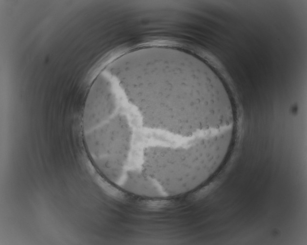 X0000115661425200912241349