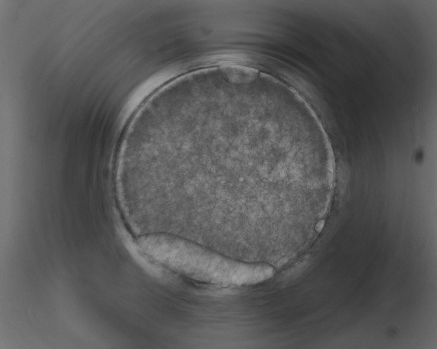 X0000115661426200912241349