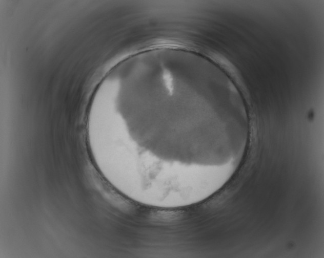 X0000115661427200912241349