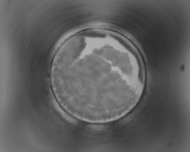 X0000115661429200912241349