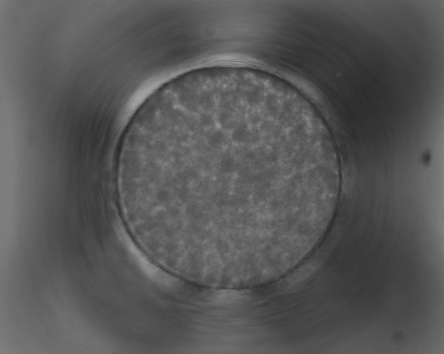 X0000115661430200912241349