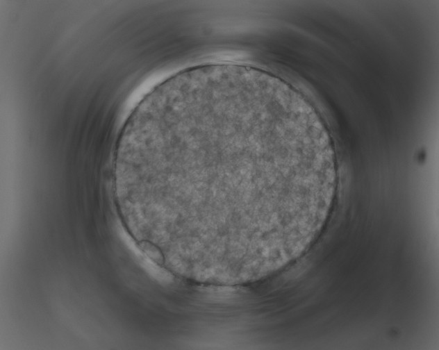 X0000115661432200912241349